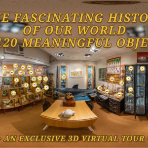 Virtual Tour Ticket