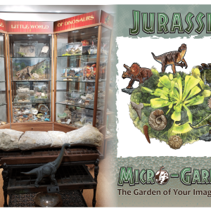 The Amazing Dinosaur Workshop